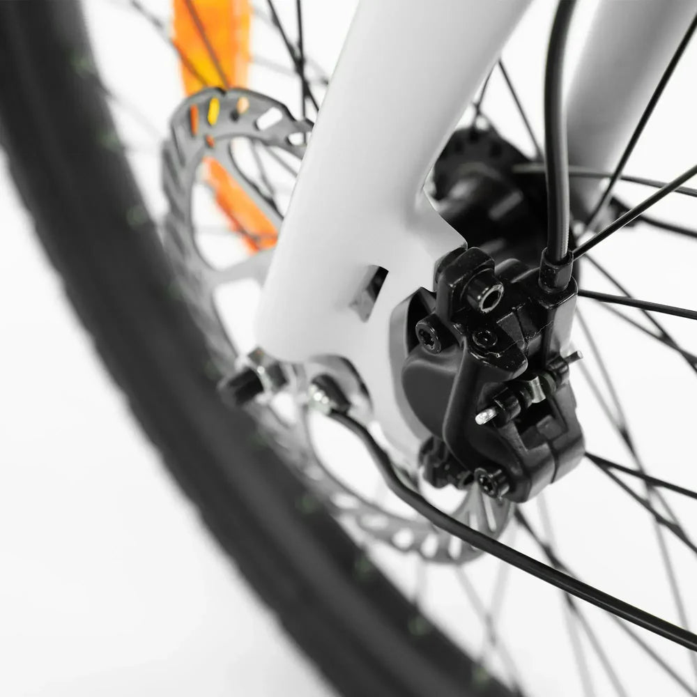 ENGWE P20 Vouwfiets