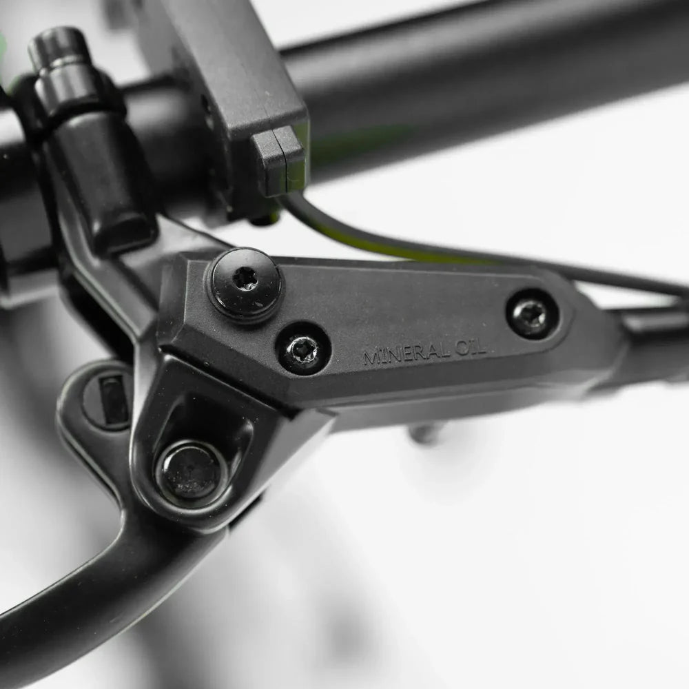 ENGWE P20 Vouwfiets