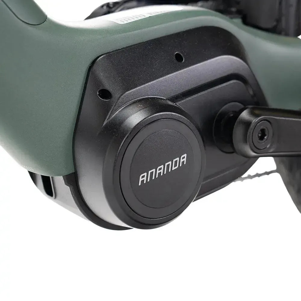 ENGWE Mapfour N1 Pro