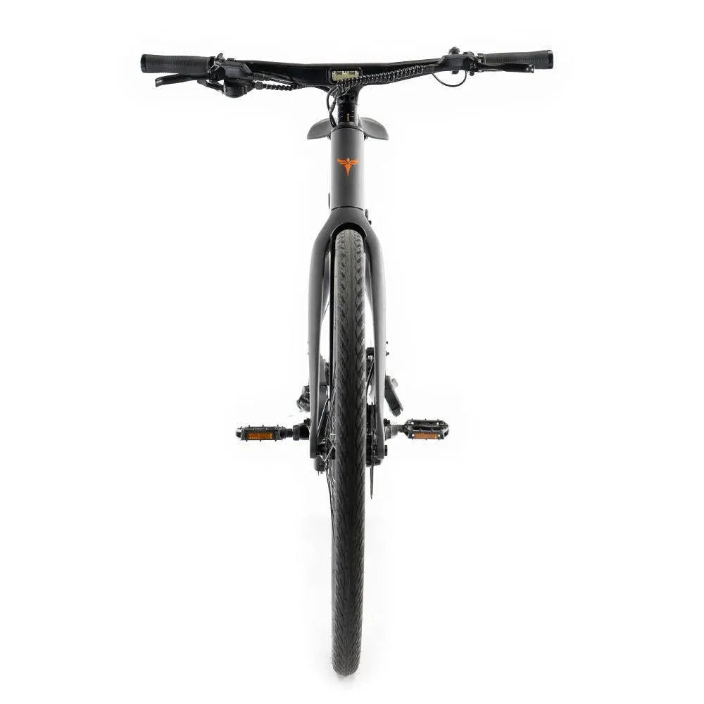ENGWE Mapfour N1 Pro