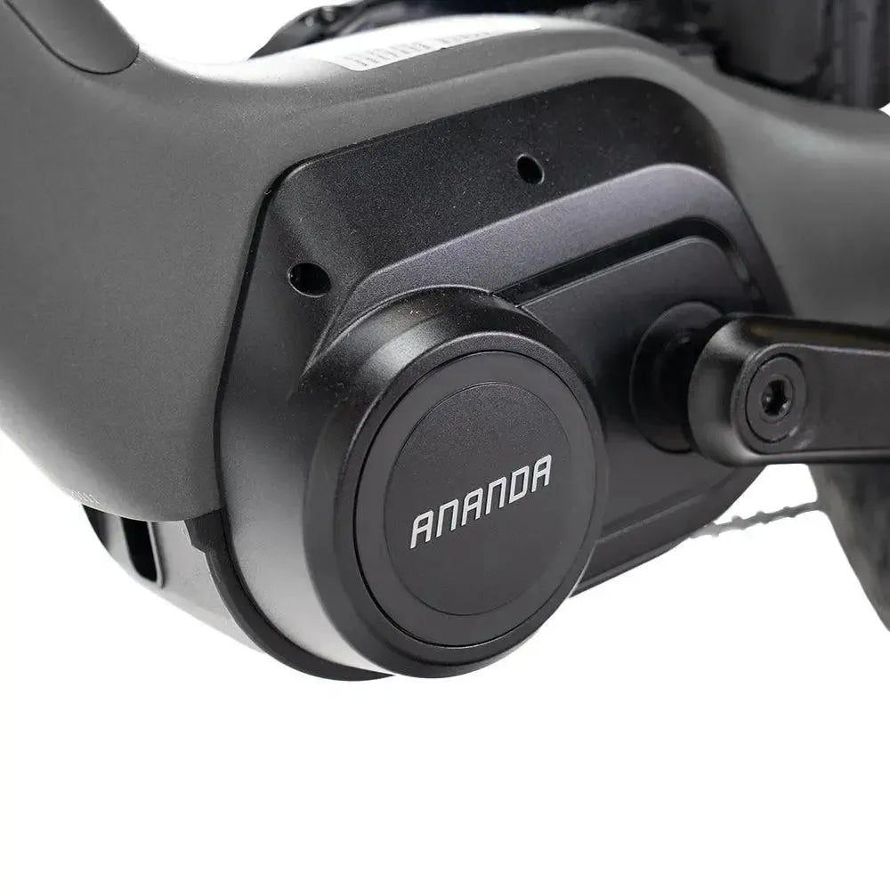 ENGWE Mapfour N1 Pro