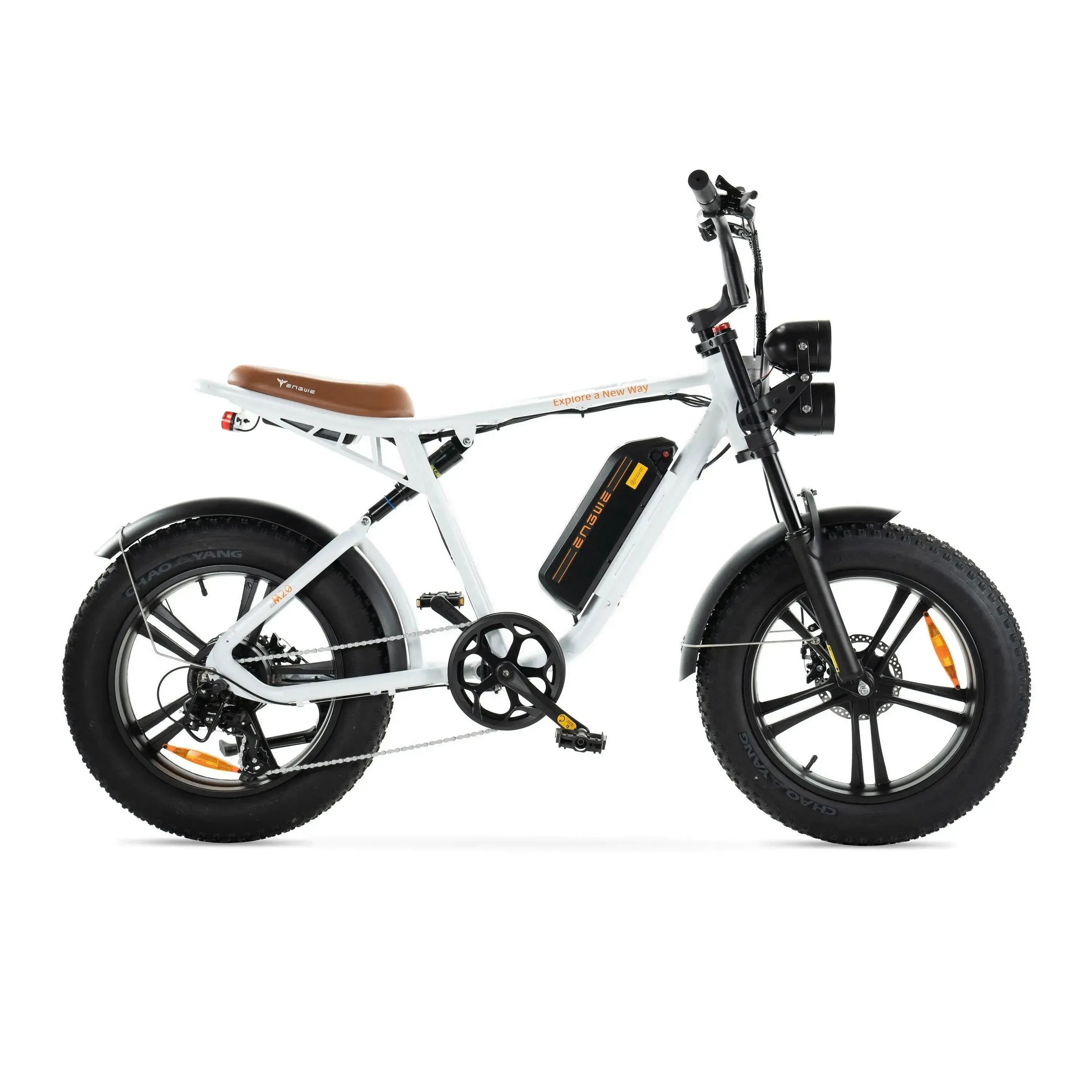 ENGWE M20 Enkele accu