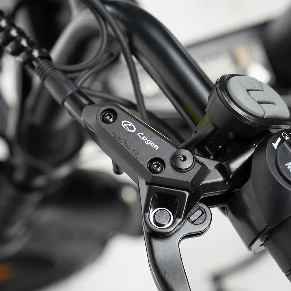 Ouxi C80 Fatbike